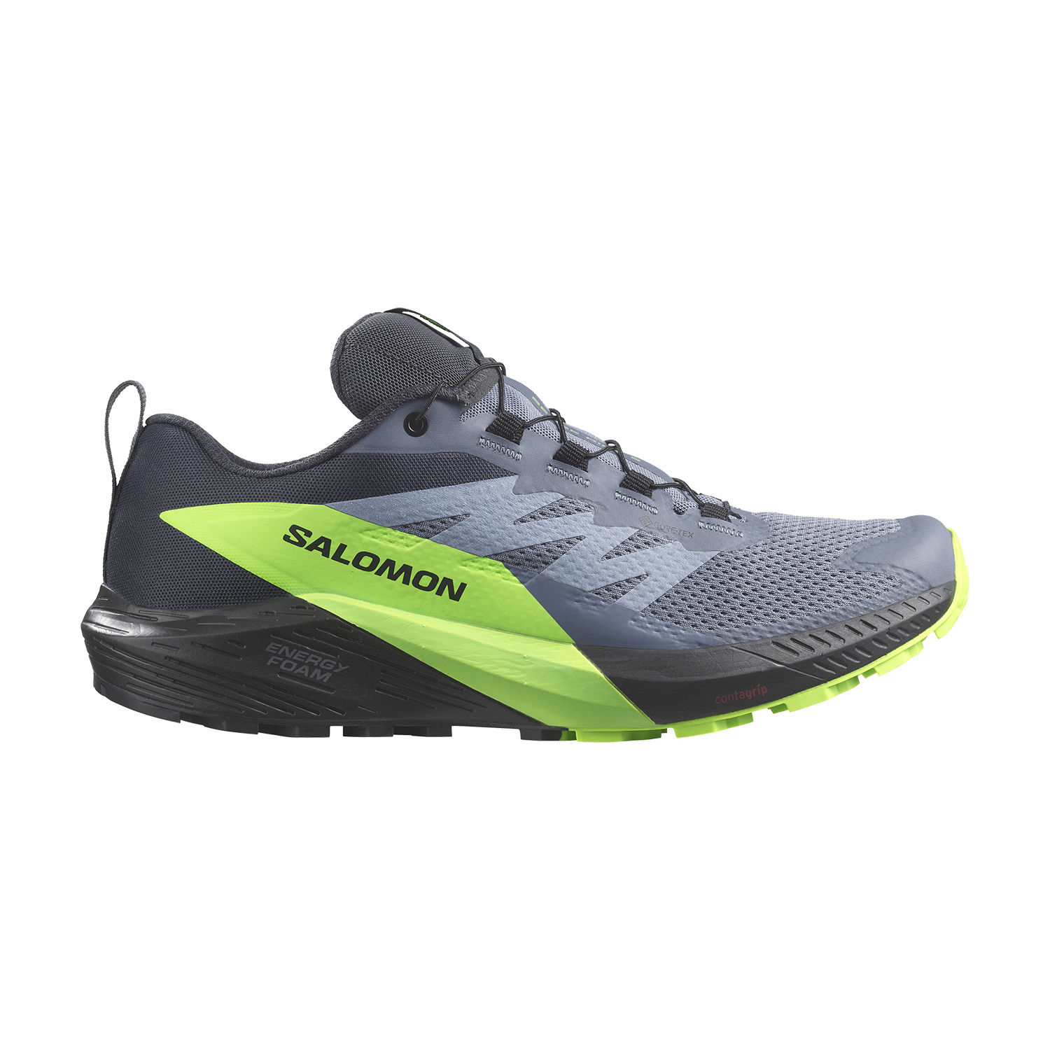 Salomon Sense Ride 5 GTX Flint Stone/Black/Green Gecko