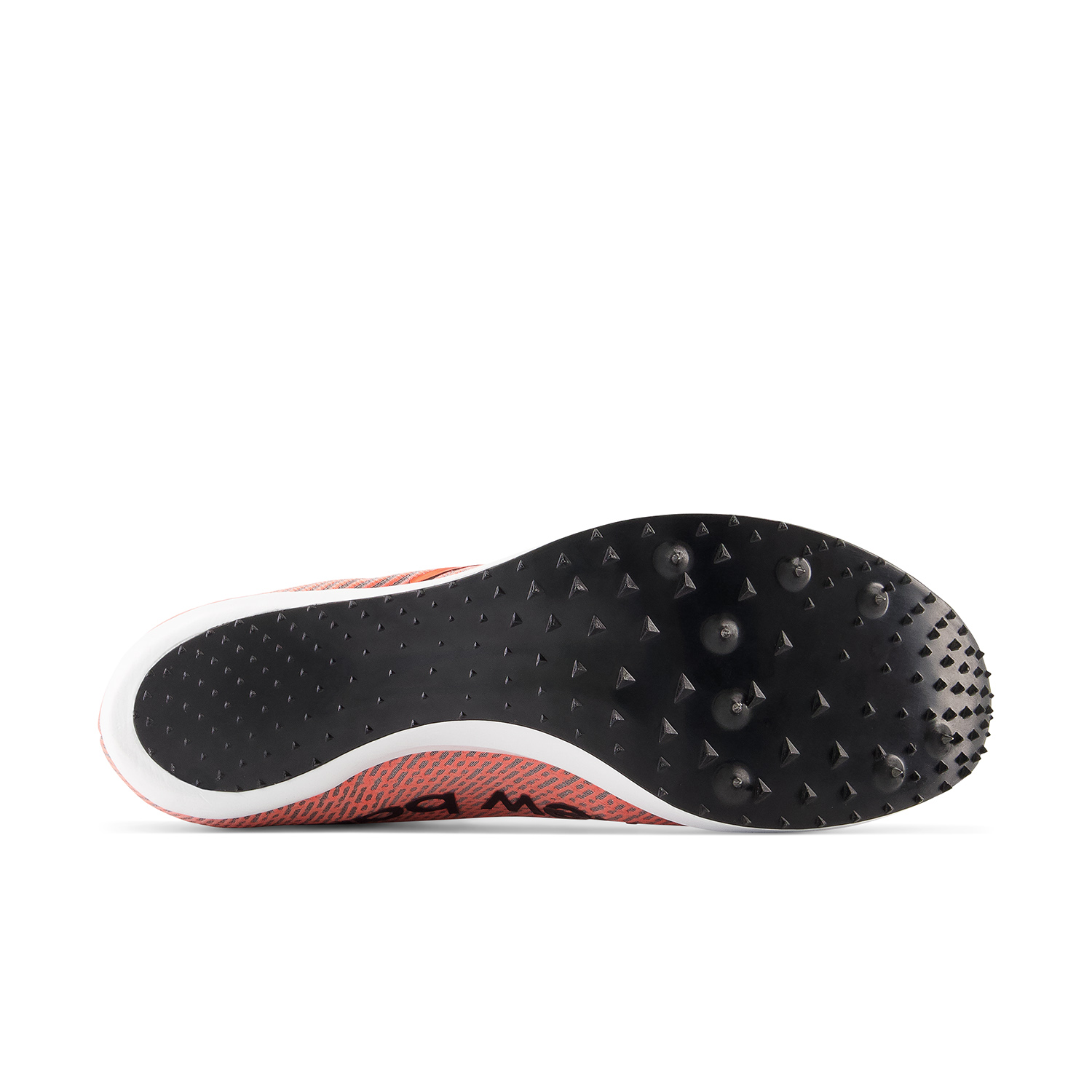 New Balance FuelCell SuperComp SD X Dragonfly/Black