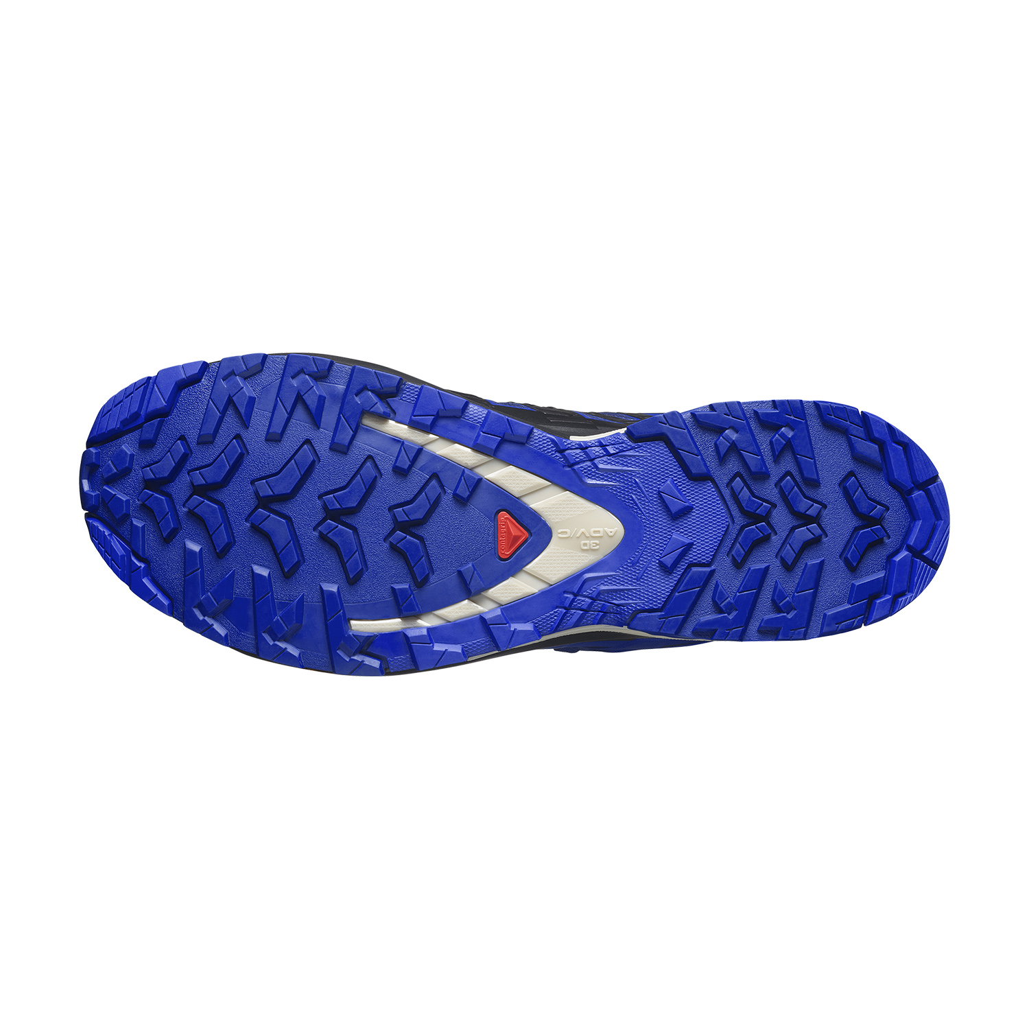 Salomon XA Pro 3D V9 GTX Blue Print/Surf The Web/Lapis Blue
