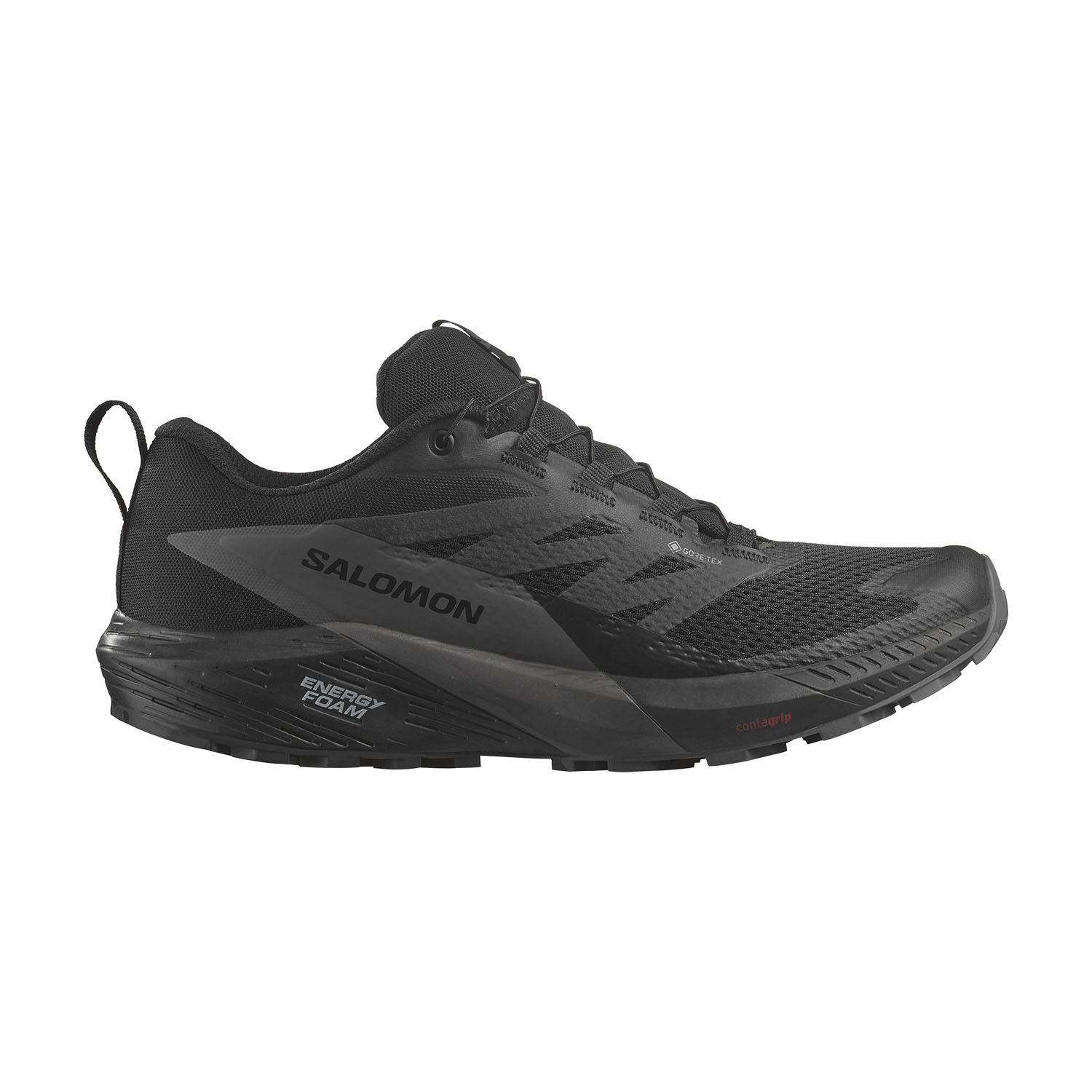Salomon Sense Ride 5 GTX Black/Magnet