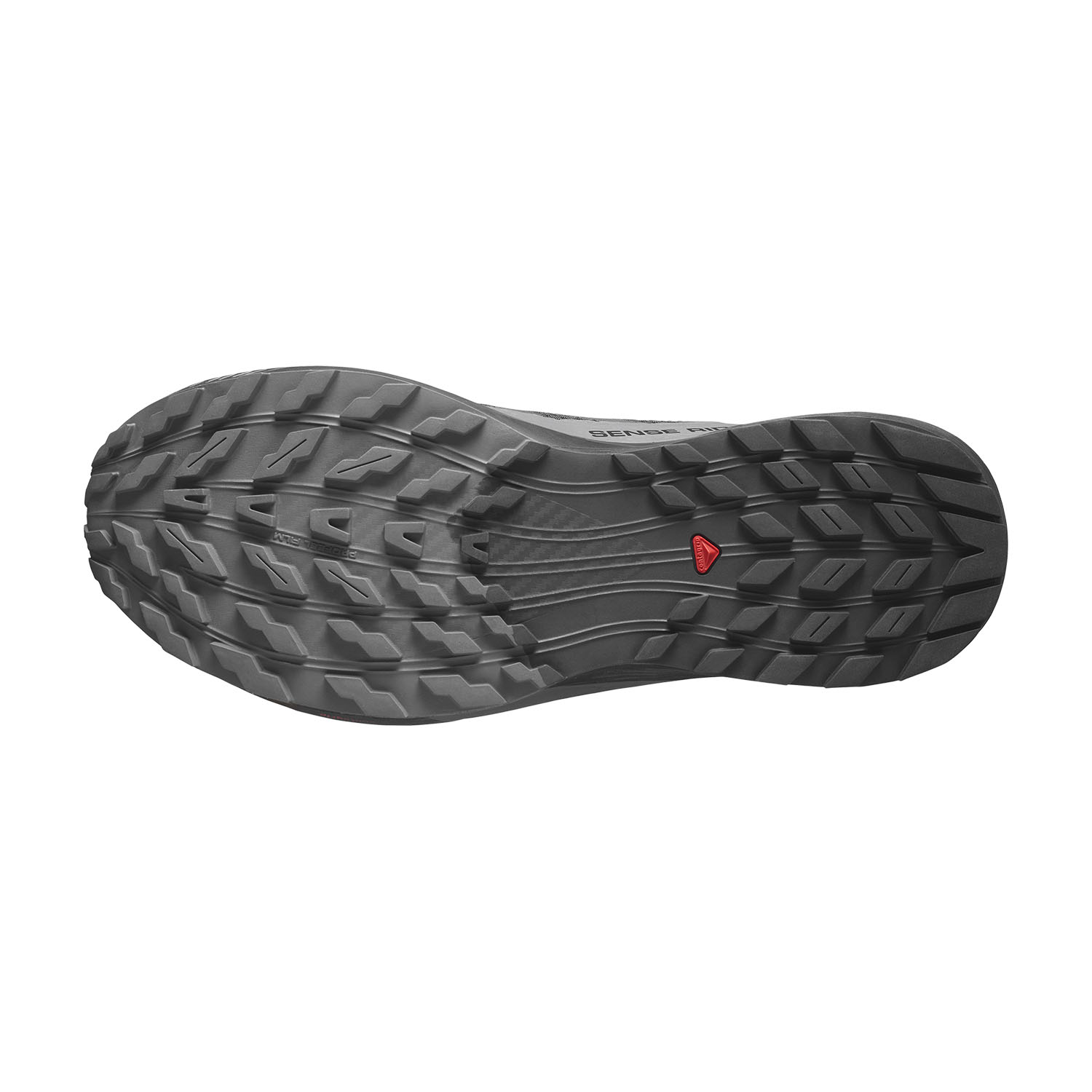 Salomon Sense Ride 5 GTX Black/Magnet