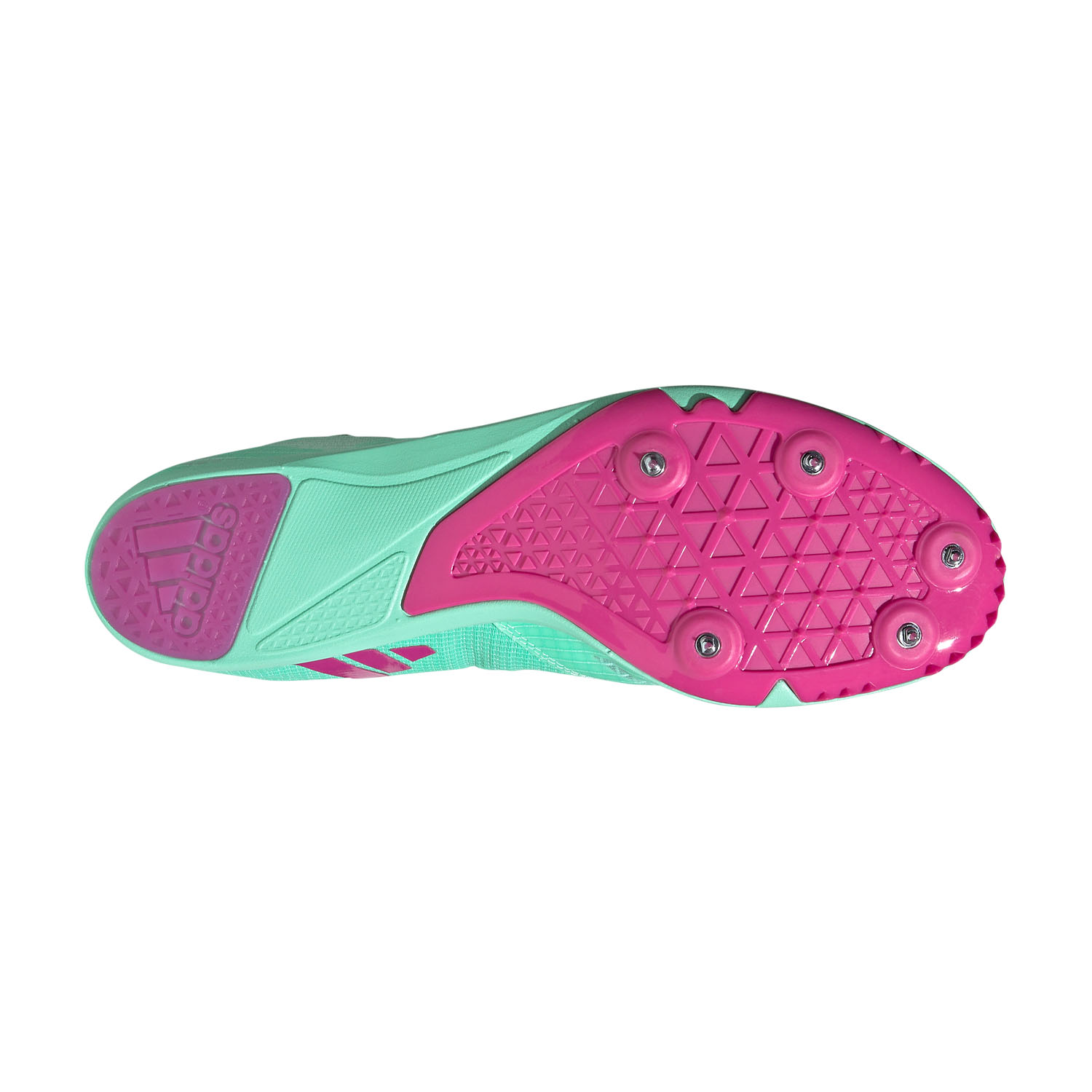 adidas Distancestar Pulse Mint/Lucid Blue/Lucid Fuchsia