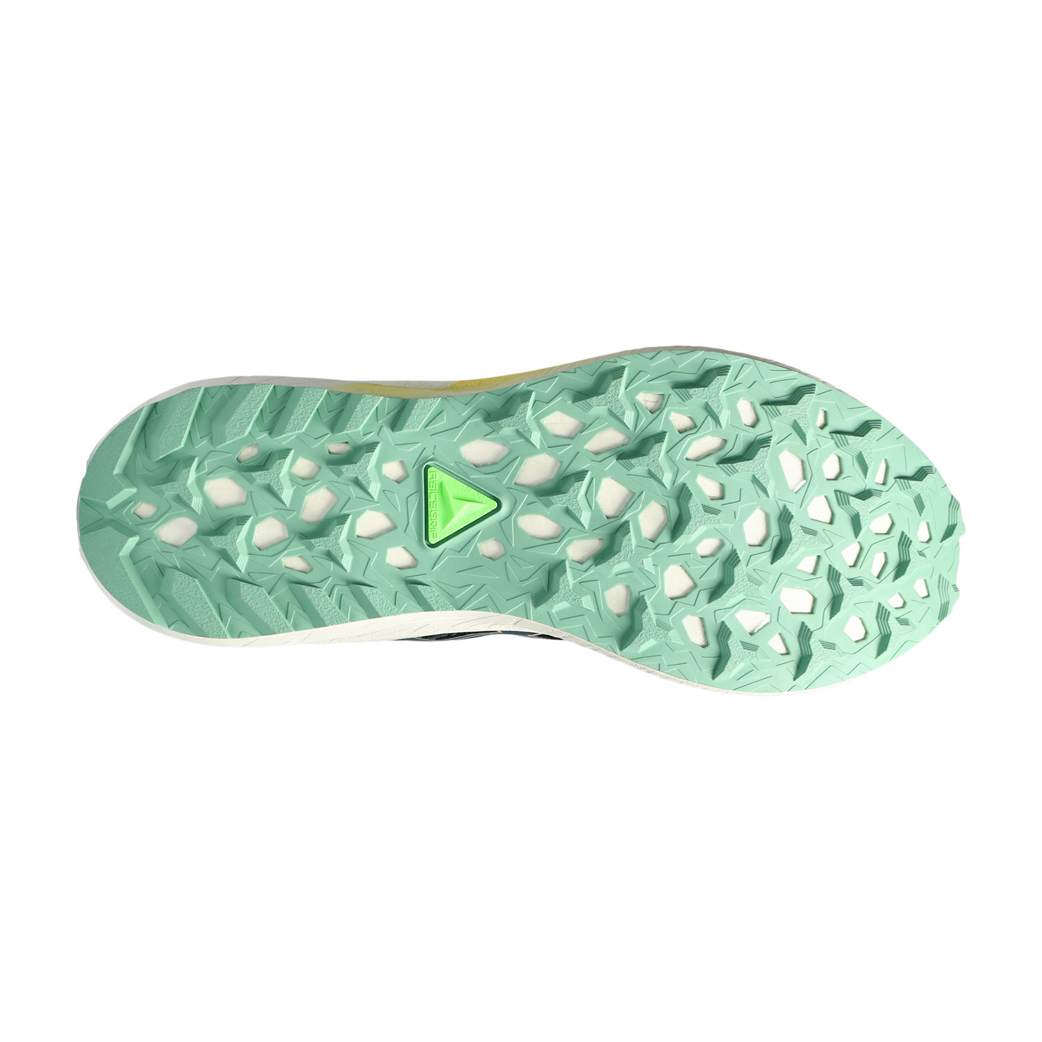 Asics Fuji Lite 4 Black/Magnetic Blue