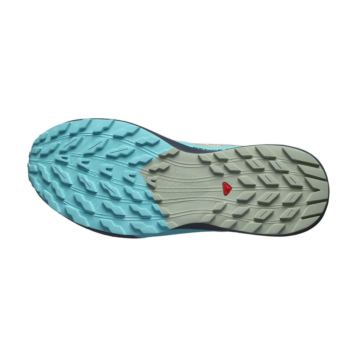 Salomon Sense Ride 5 Alfalfa/Carbon/Peacock Blue