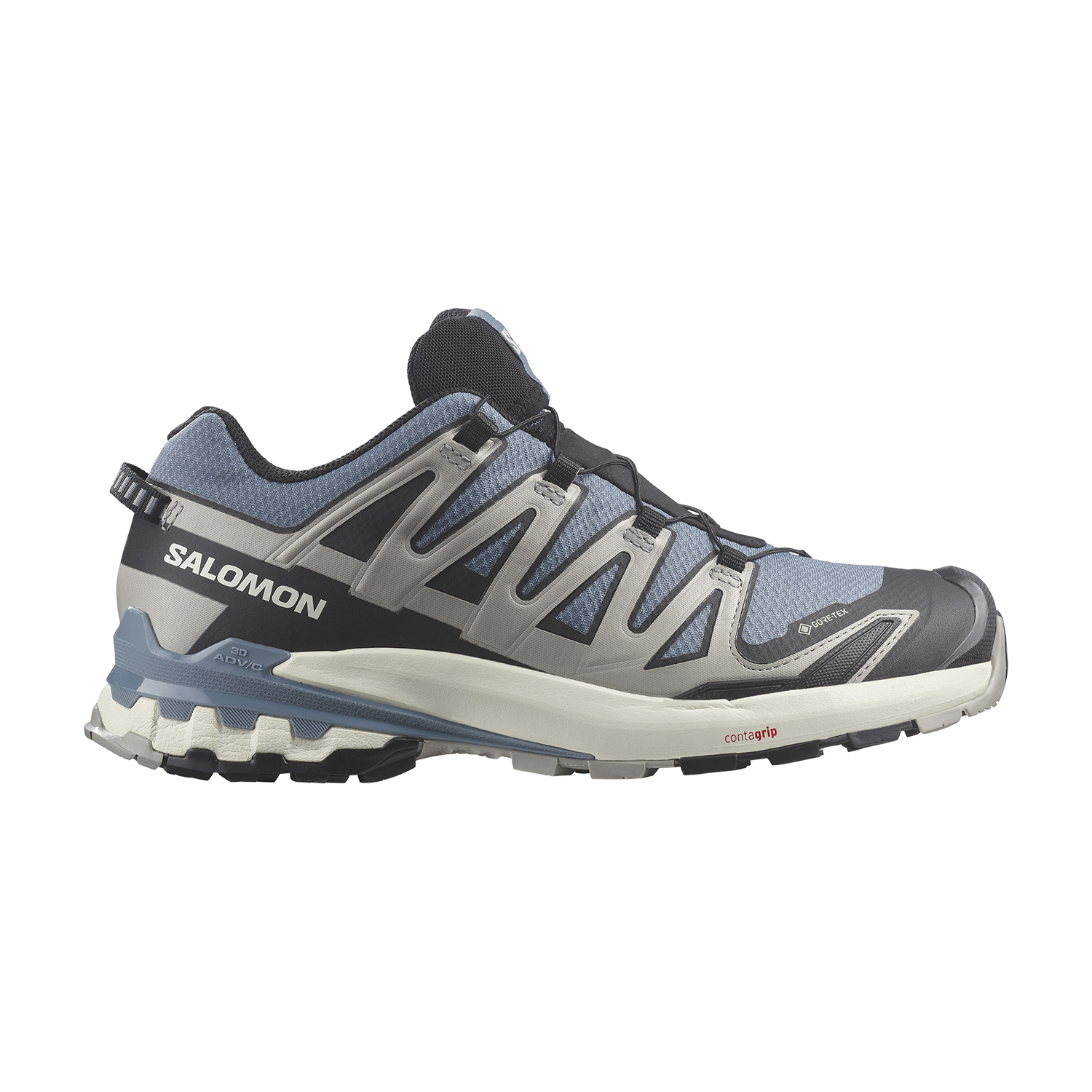 Salomon XA Pro 3D V9 GTX Flint Stone/Black/Ghost Gray