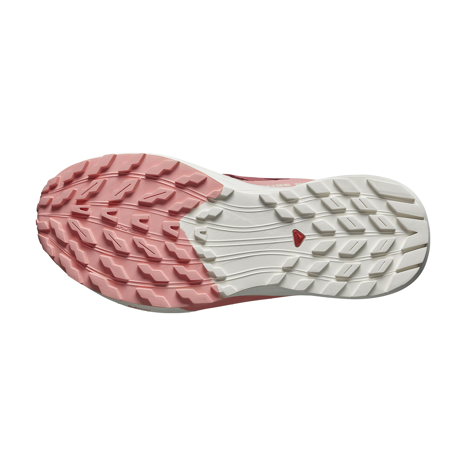 Salomon Sense Ride 5 GTX Syrah/Vanilla Ice/Peach Amber