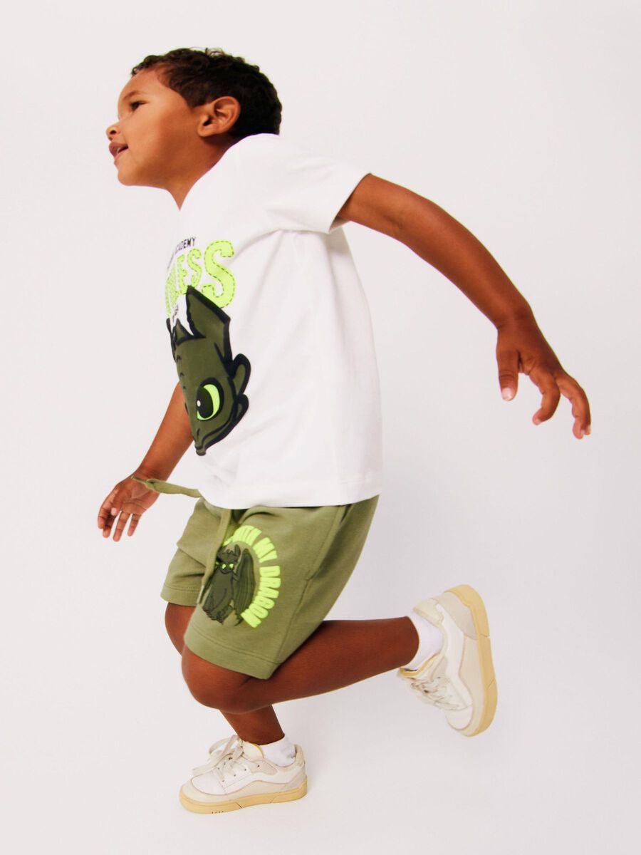 HOW TO TRAIN YOUR DRAGON T-SHIRT