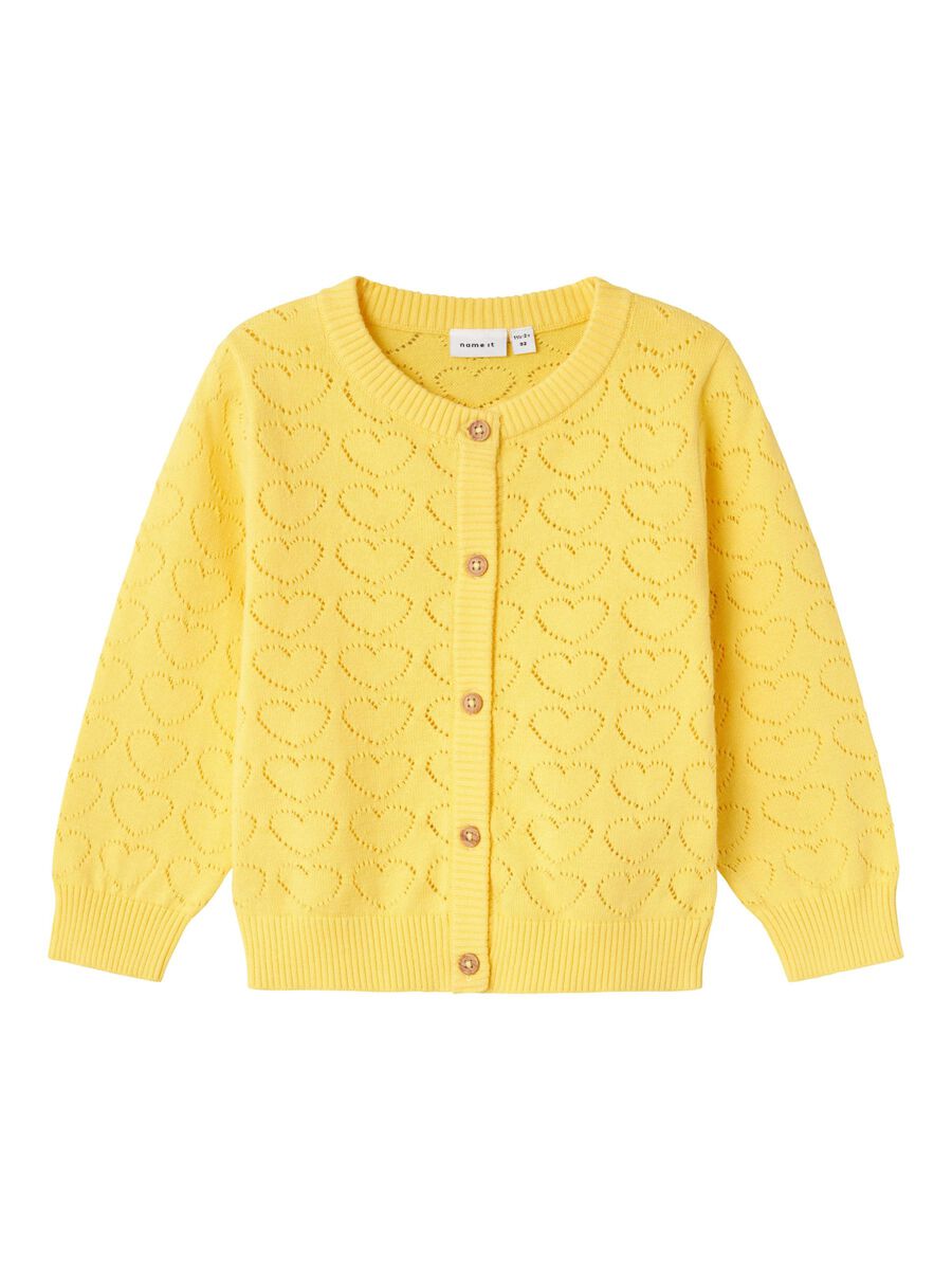 BIOLOGISCH KATOEN GEBREID VEST