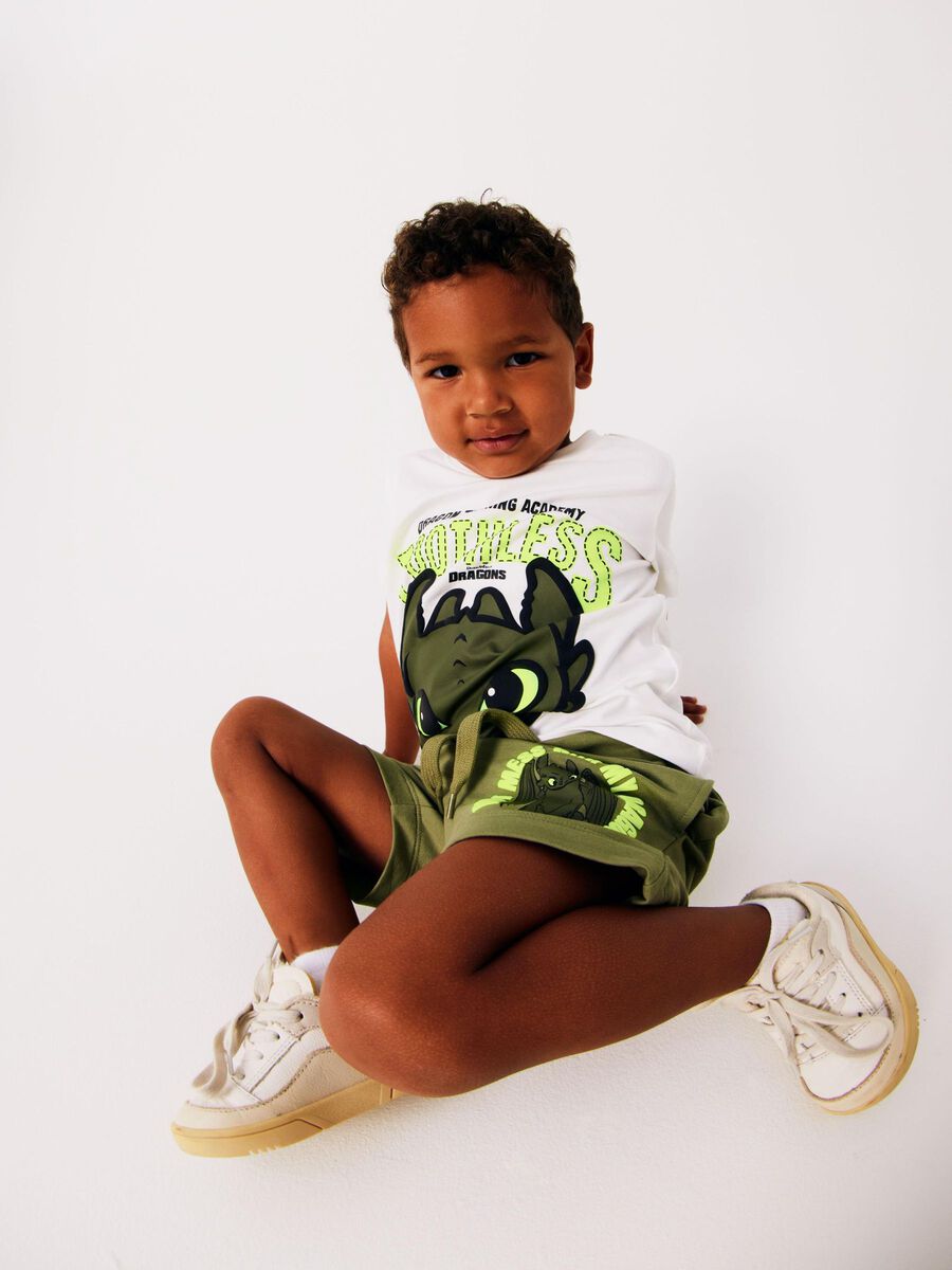 HOW TO TRAIN YOUR DRAGON SWEATSHORT