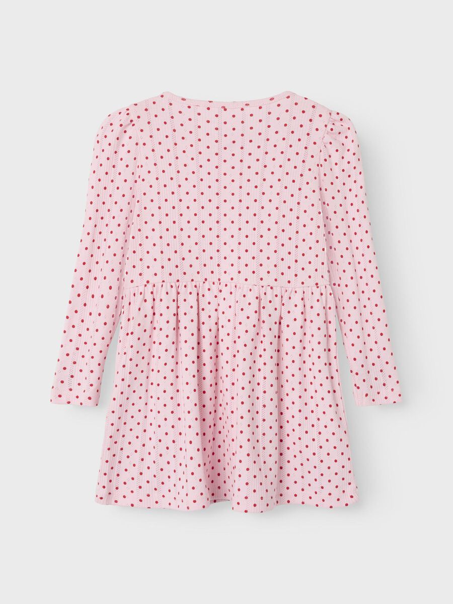 BIOLOGISCH KATOEN JURK