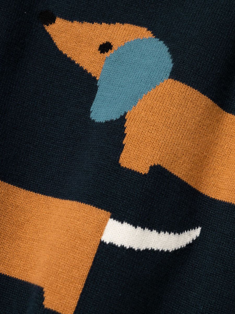 LANGE MOUWEN GEBREIDE TRUI