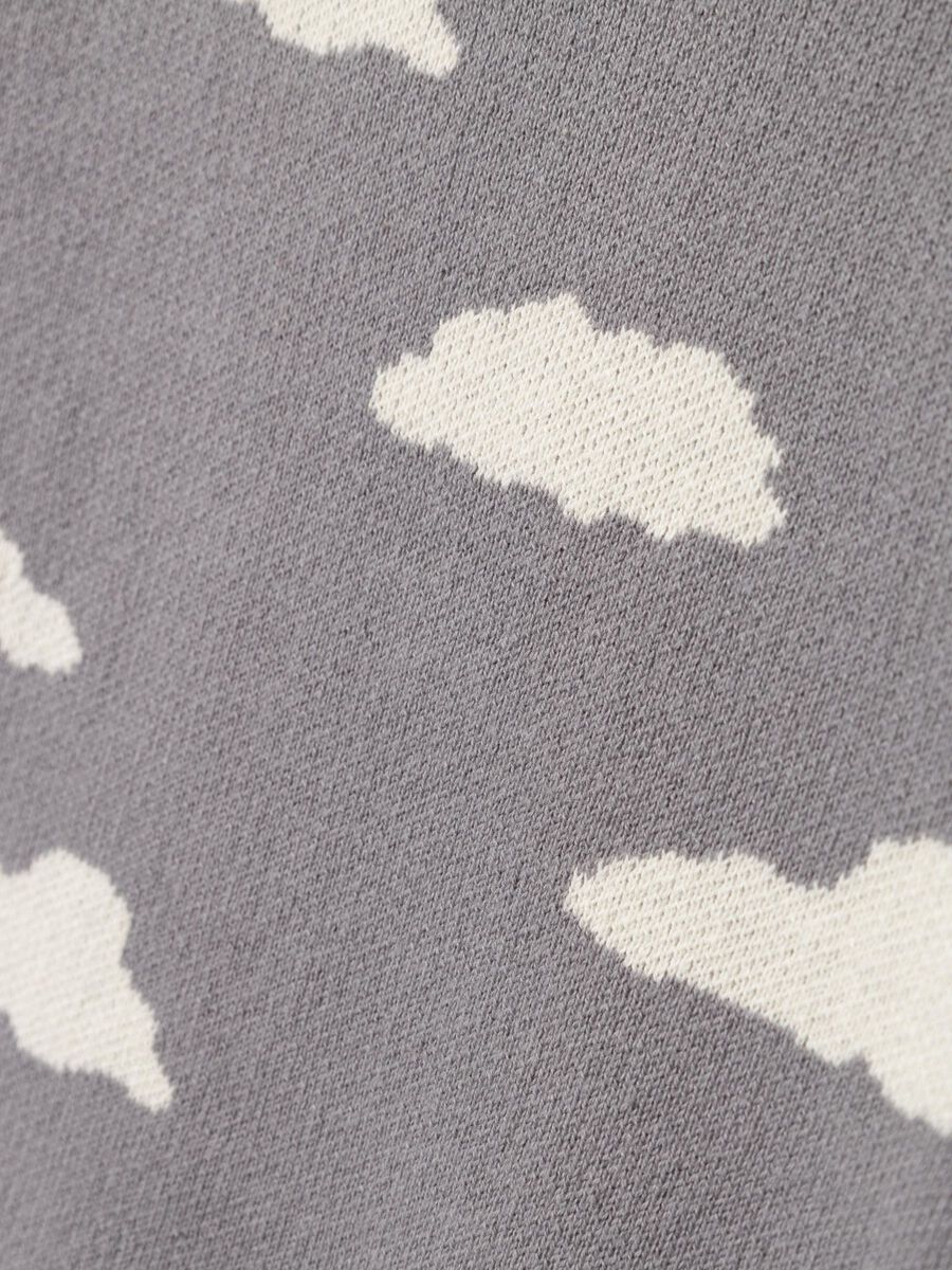 BIOLOGISCH KATOEN GEBREIDE TRUI