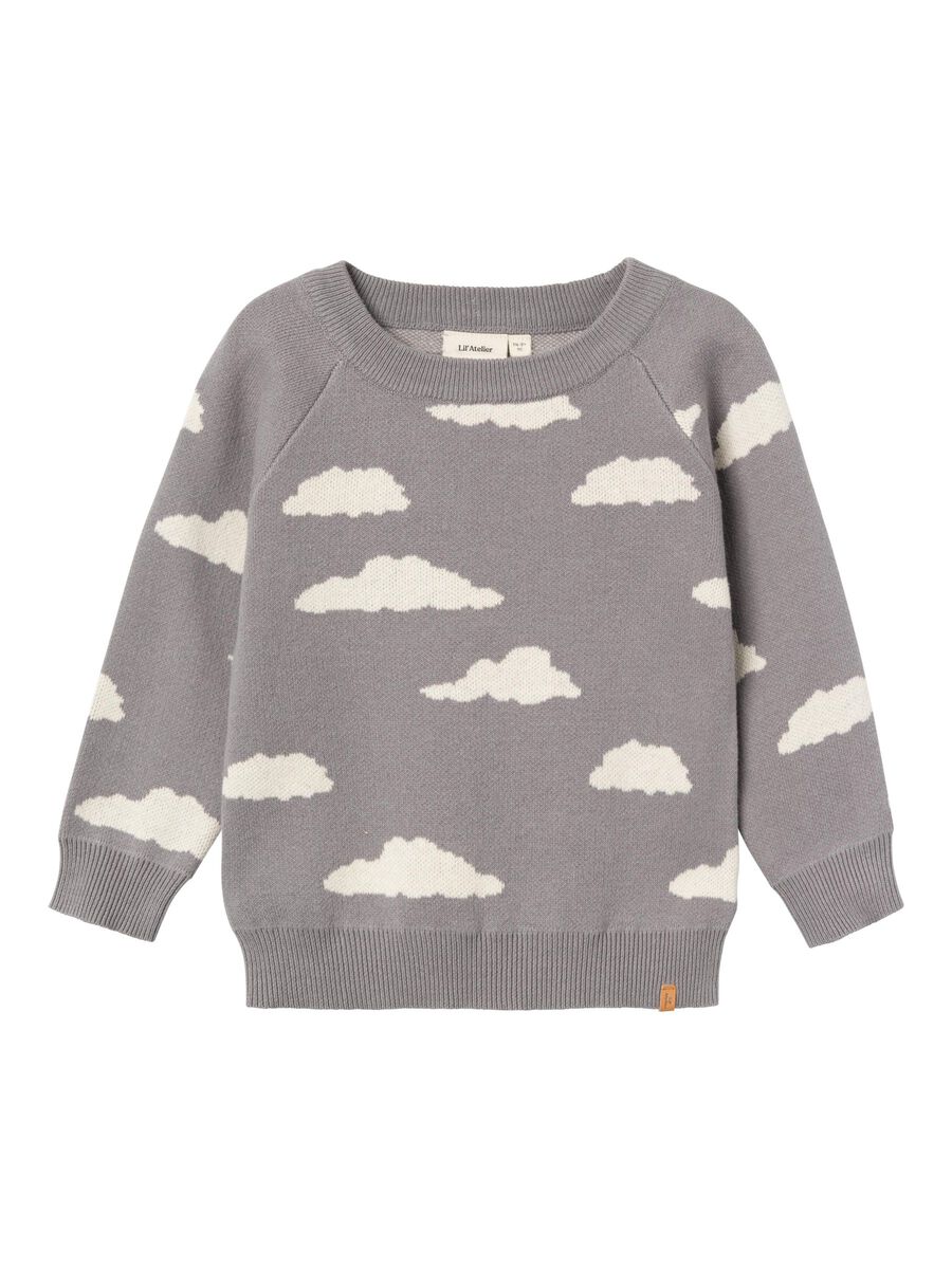 BIOLOGISCH KATOEN GEBREIDE TRUI