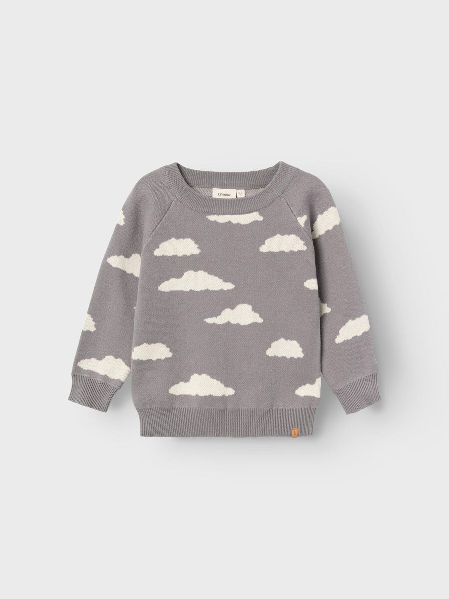 BIOLOGISCH KATOEN GEBREIDE TRUI