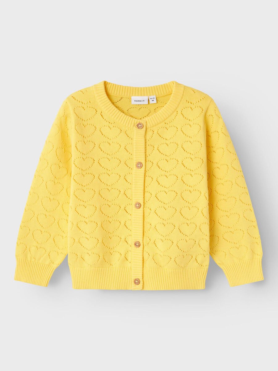 BIOLOGISCH KATOEN GEBREID VEST