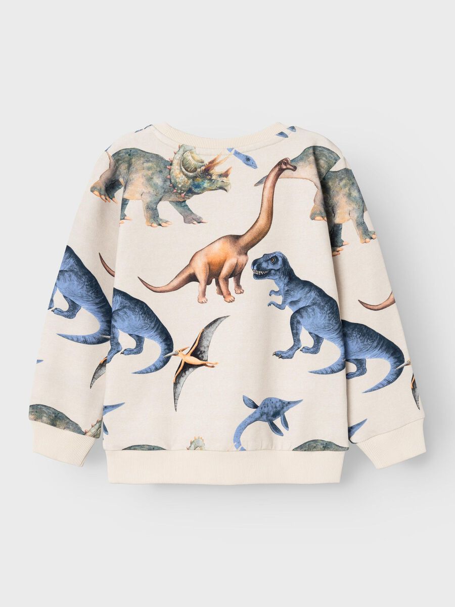 REGULAR FIT SWEATSHIRT