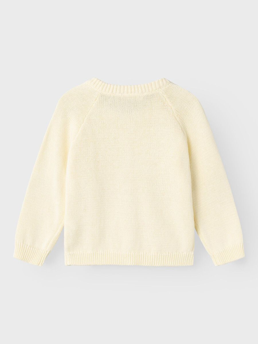 BIOLOGISCH KATOEN GEBREID VEST