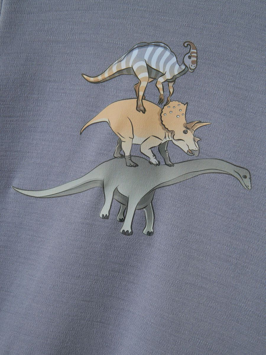 MERINOWOL TOP MET LANGE MOUWEN