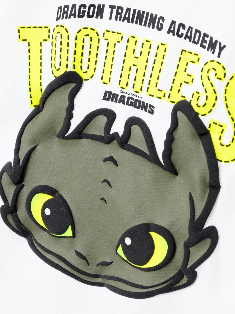 HOW TO TRAIN YOUR DRAGON T-SHIRT