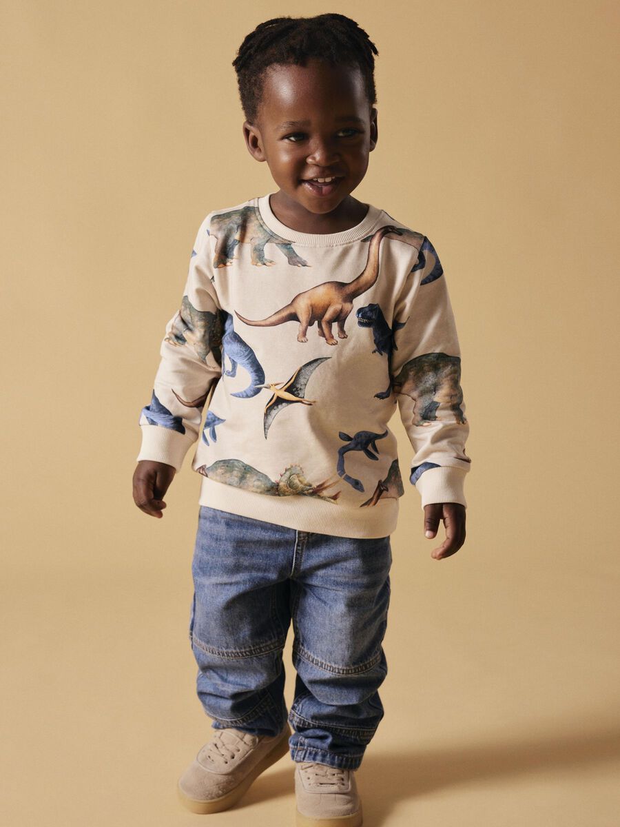 REGULAR FIT SWEATSHIRT