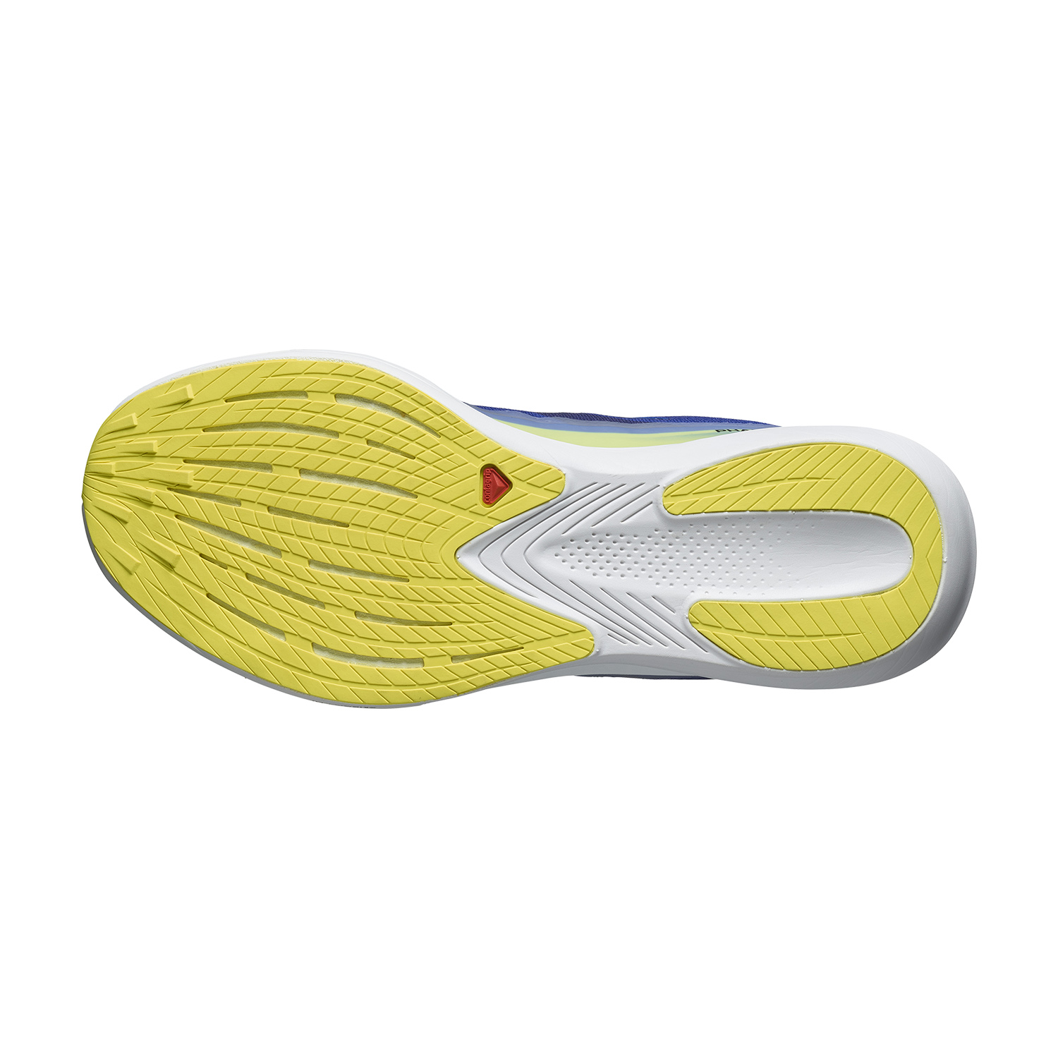 Salomon Phantasm 2 Surf The Web/White/Blue Print