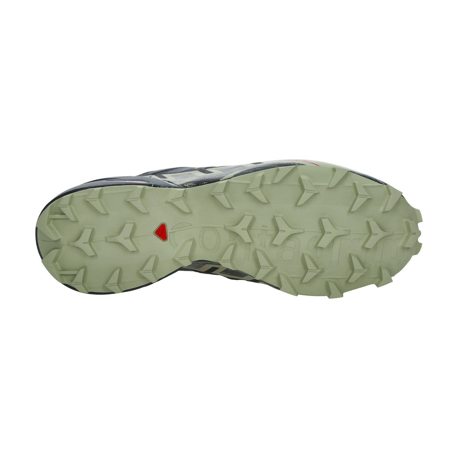 Salomon Speedcross 6 GTX Grisaille/Carbon/Tea
