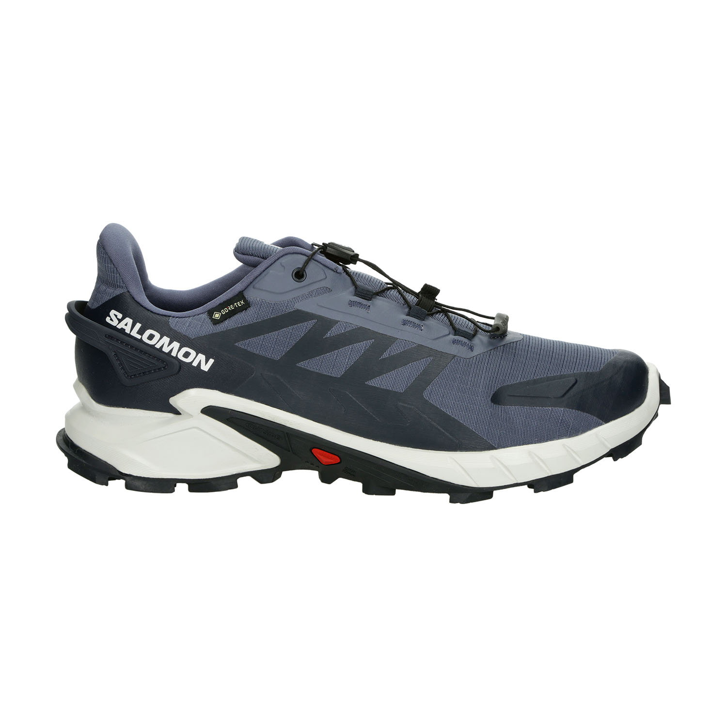 Salomon Supercross 4 GTX Grisaille/White/Carbon