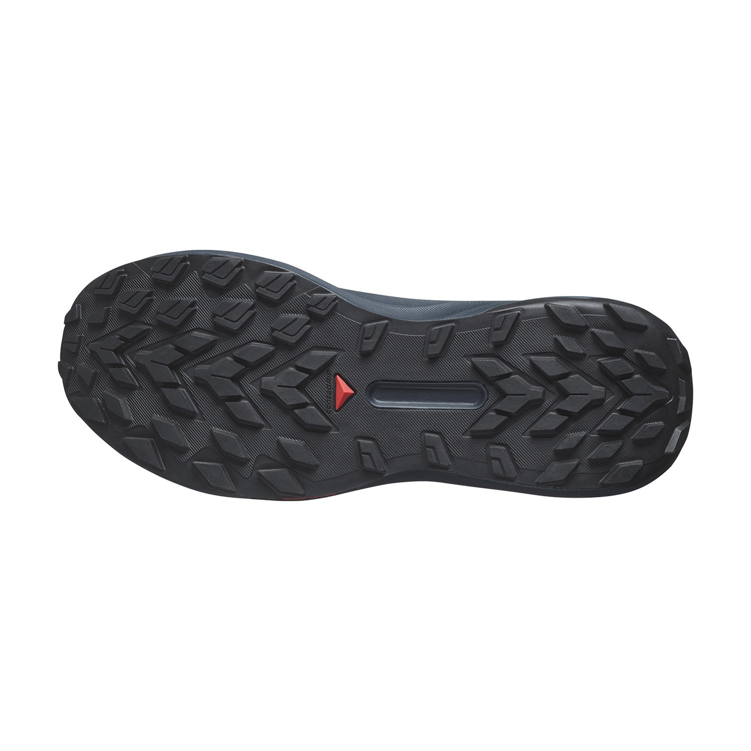 Salomon Genesis Carbon/Tahitian Tide/Quiet Shade