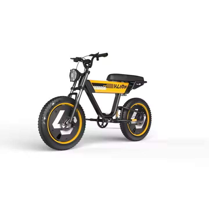 48V 750W electric bike 1000w 15AH hydraulic disc brake electric bike full suspension dirt mountain fat tire bicycle electric