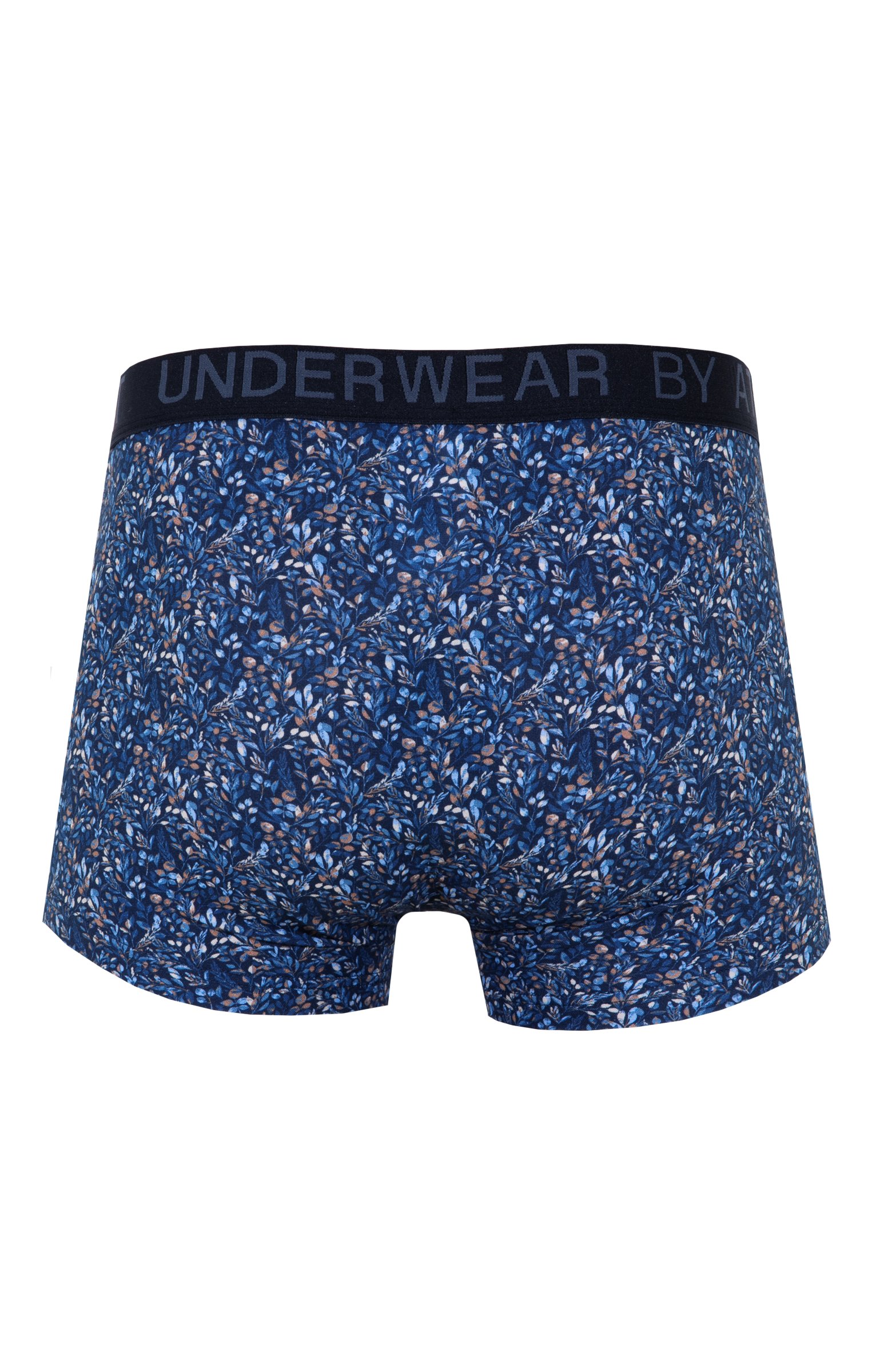 Boxer Marcus - MARINE