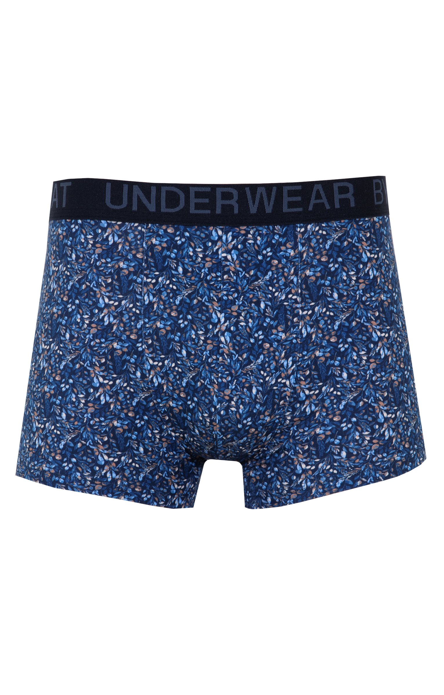 Boxer Marcus - MARINE