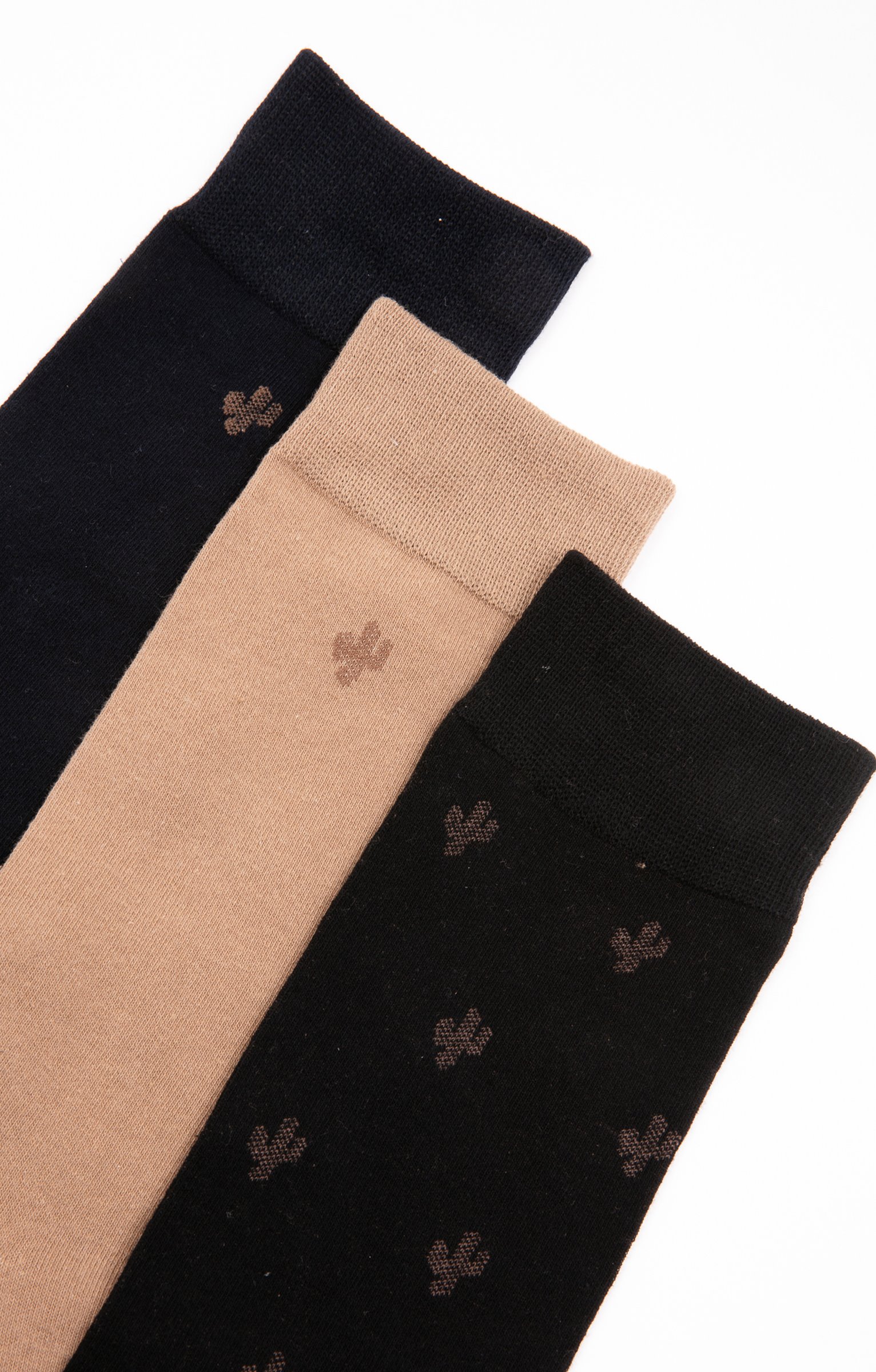 Lot de 3 paires de chaussettes CACTUS - NOIR