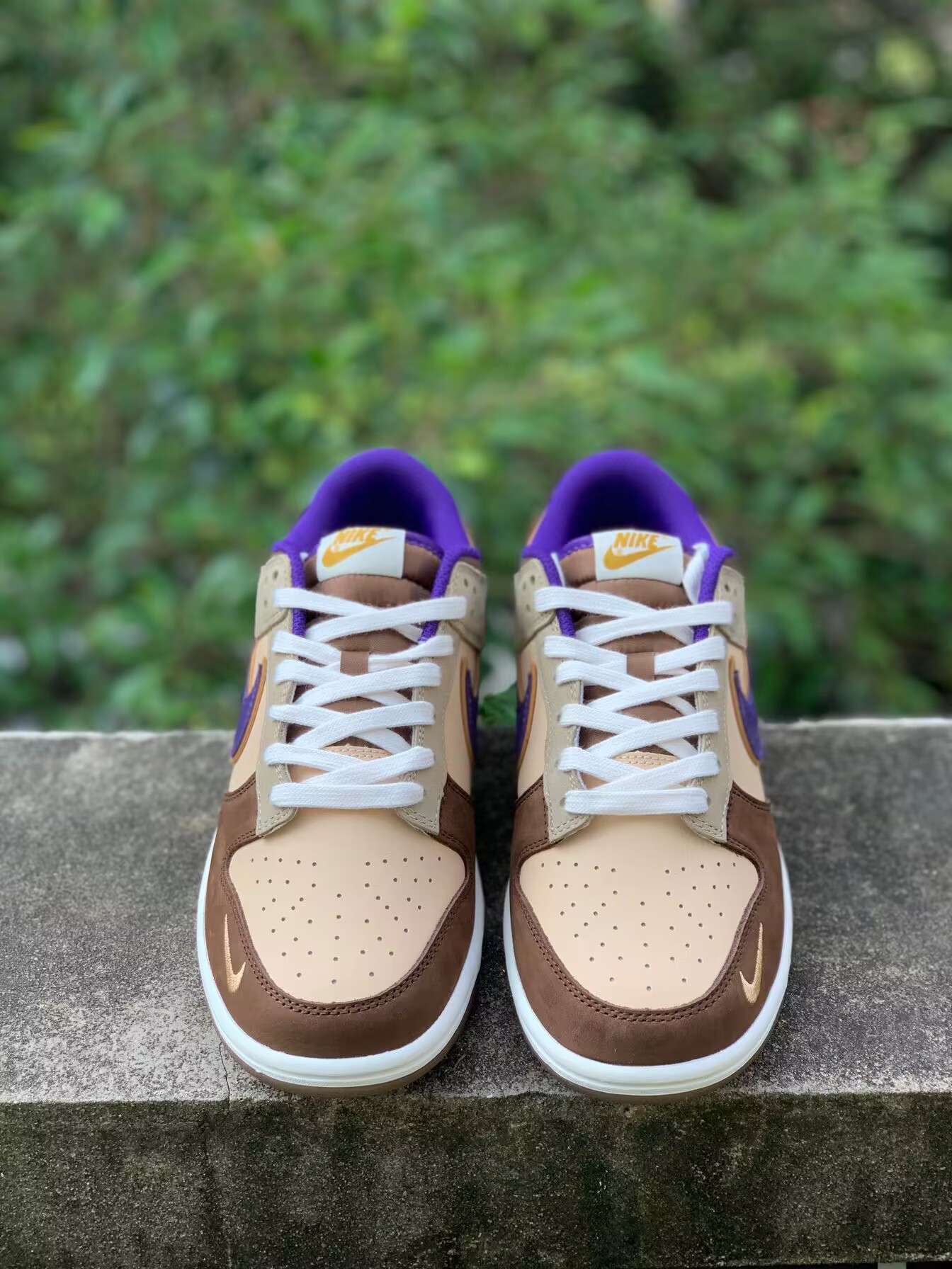 Nike Dunk Demon Brown DP5009-268
