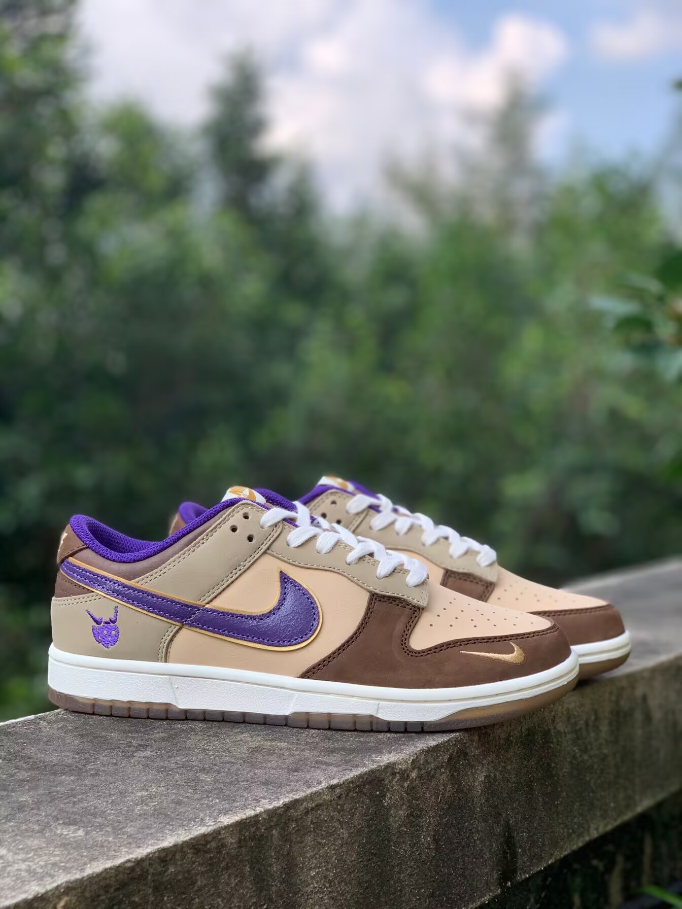 Nike Dunk Demon Brown DP5009-268