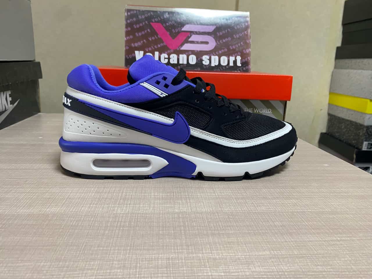 Nike Air Max BW White Persian Violet DN4113-101