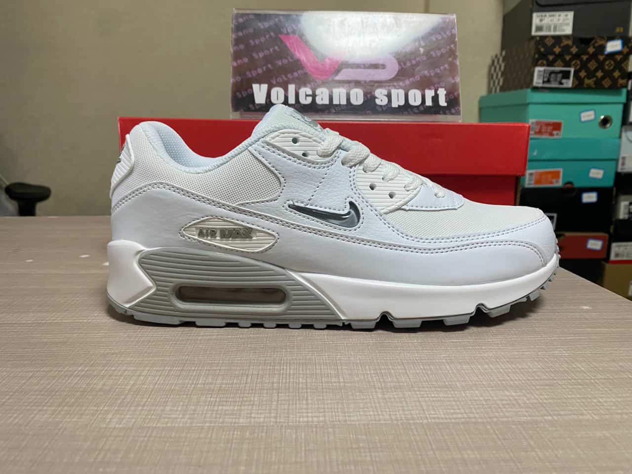 Nike Air Max 90 Light Blue and White FN8005-100