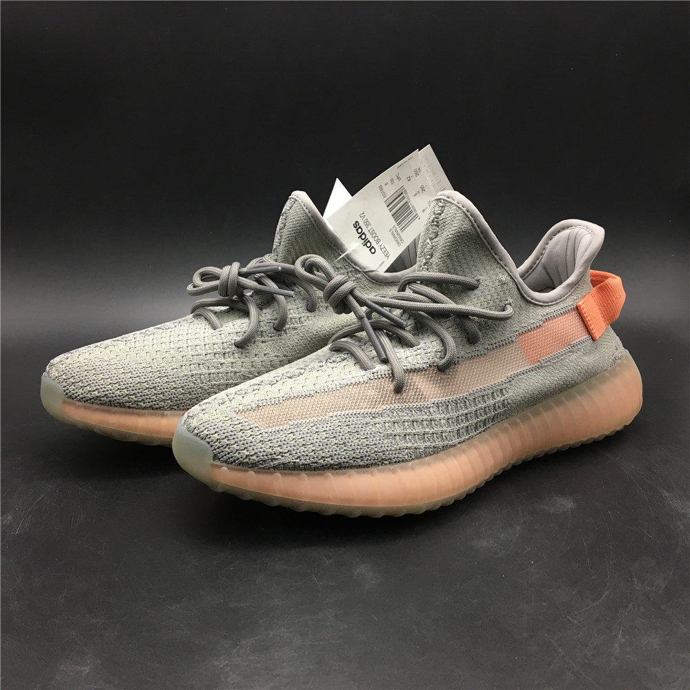 Yeezy Boost 350 V2 True Form