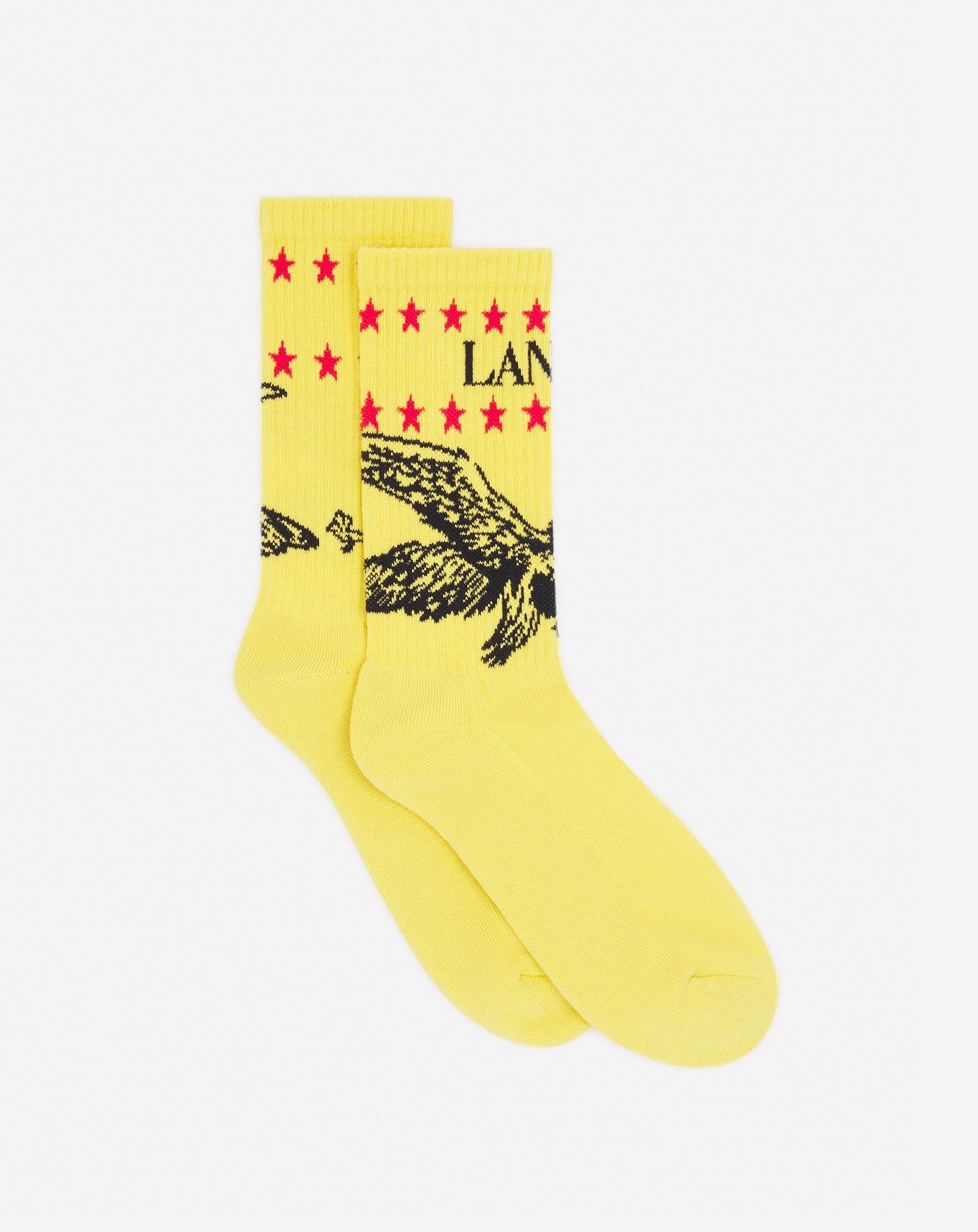 Lanvin x future lanvin logo and cotton eagle socks
