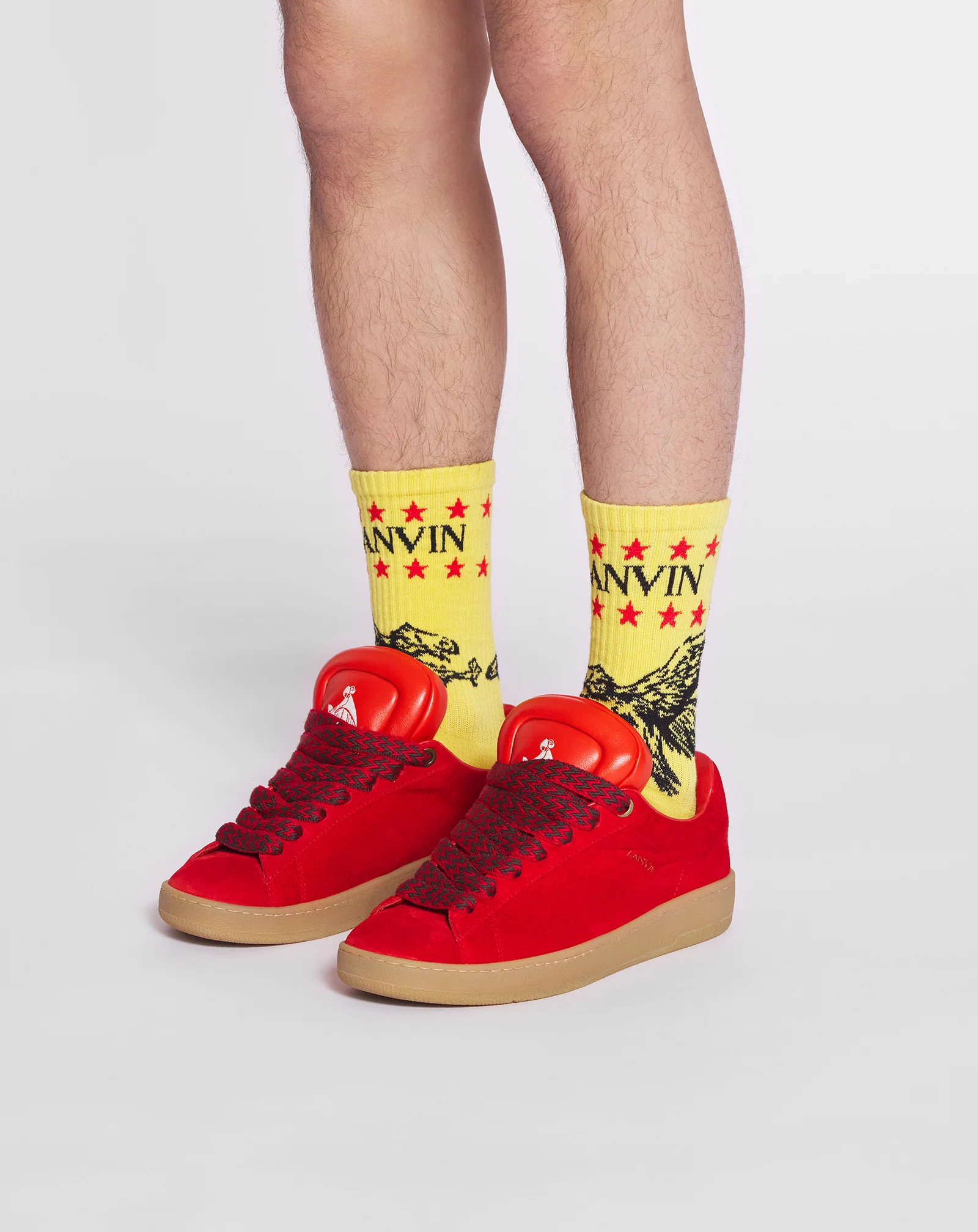 Lanvin x future lanvin logo and cotton eagle socks