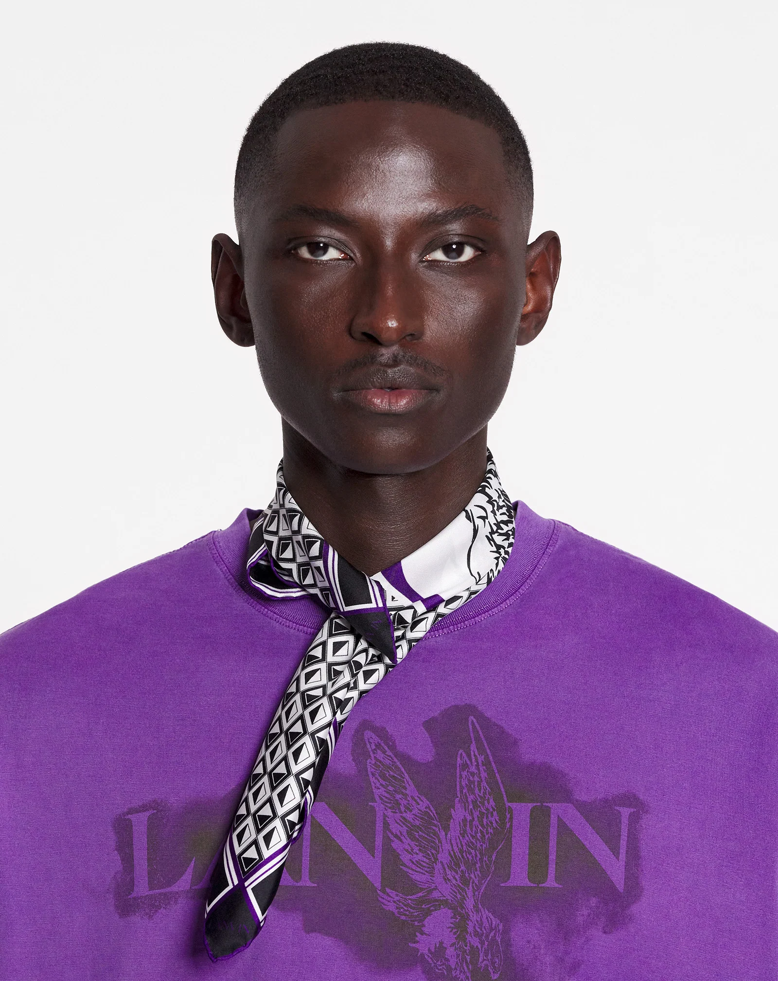 Lanvin x future scarf eagle print and silk triangles