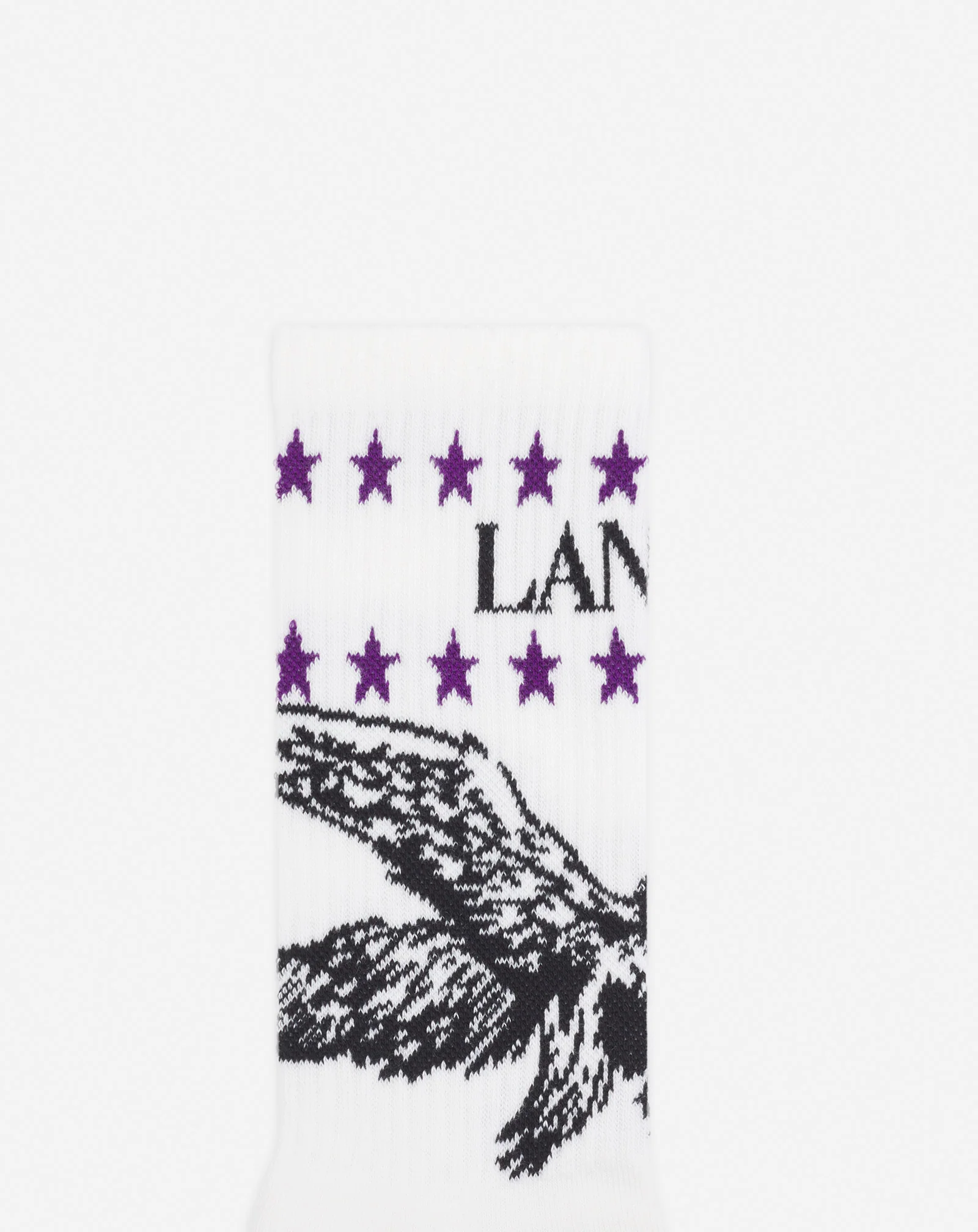 Lanvin x future lanvin logo and cotton eagle socks