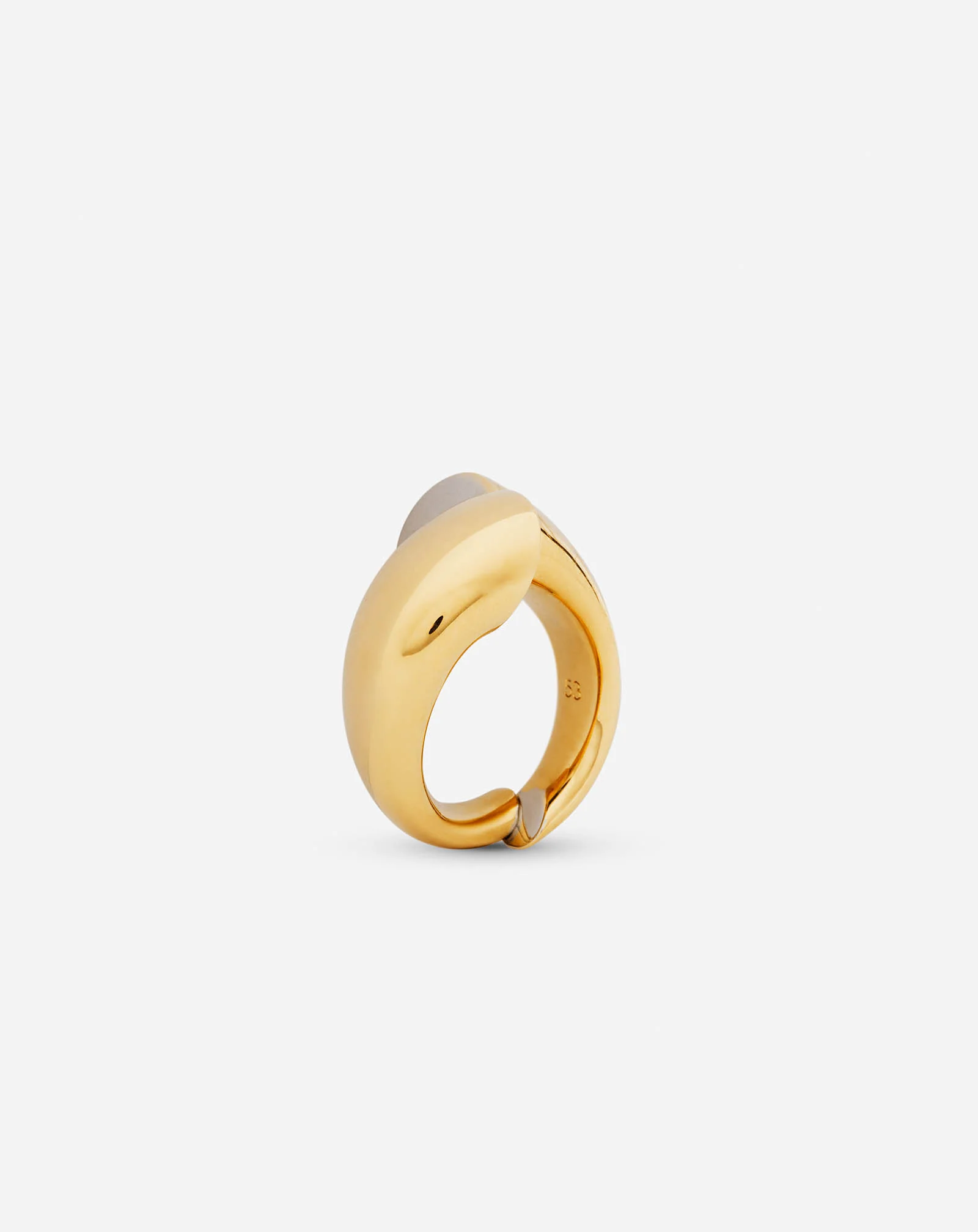 Sequence by lanvin ring