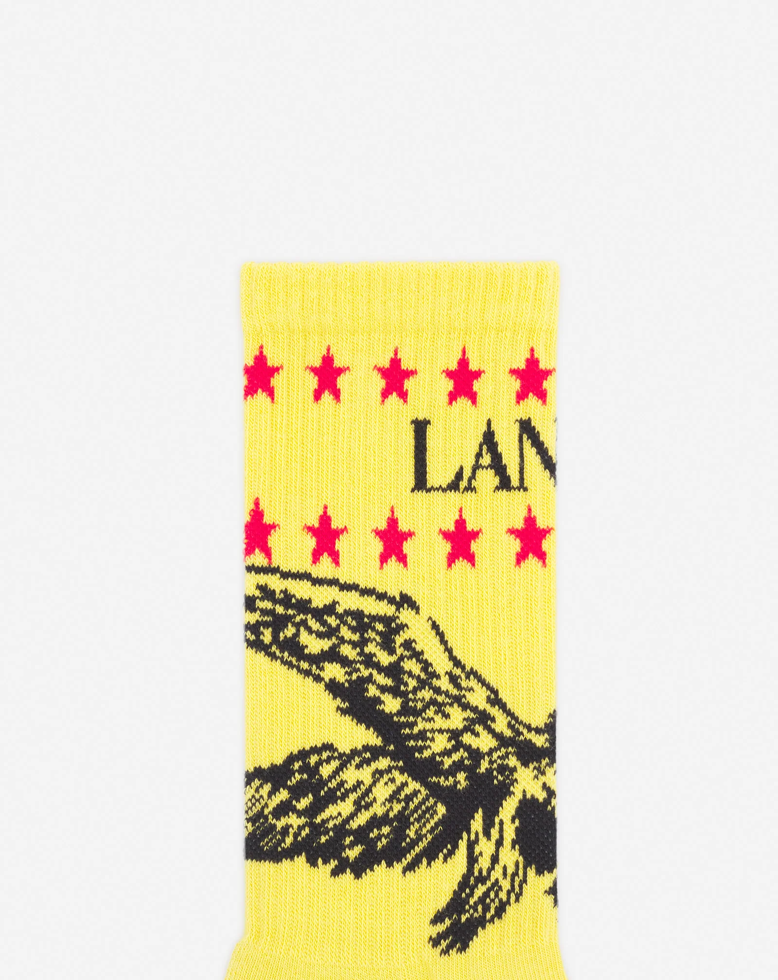 Lanvin x future lanvin logo and cotton eagle socks