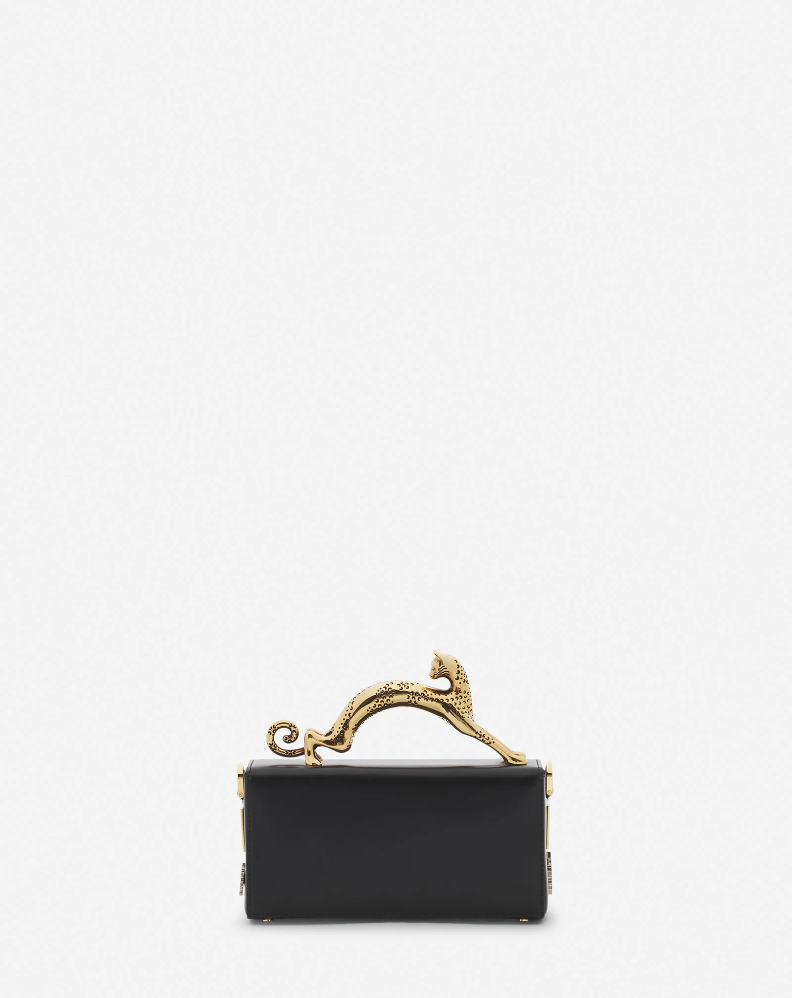 Lanvin x future pencil cat nano leather bag with pins