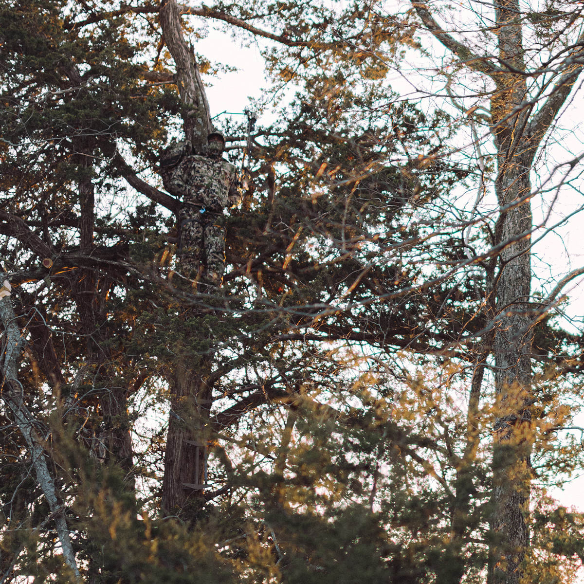 Stratus Jacket