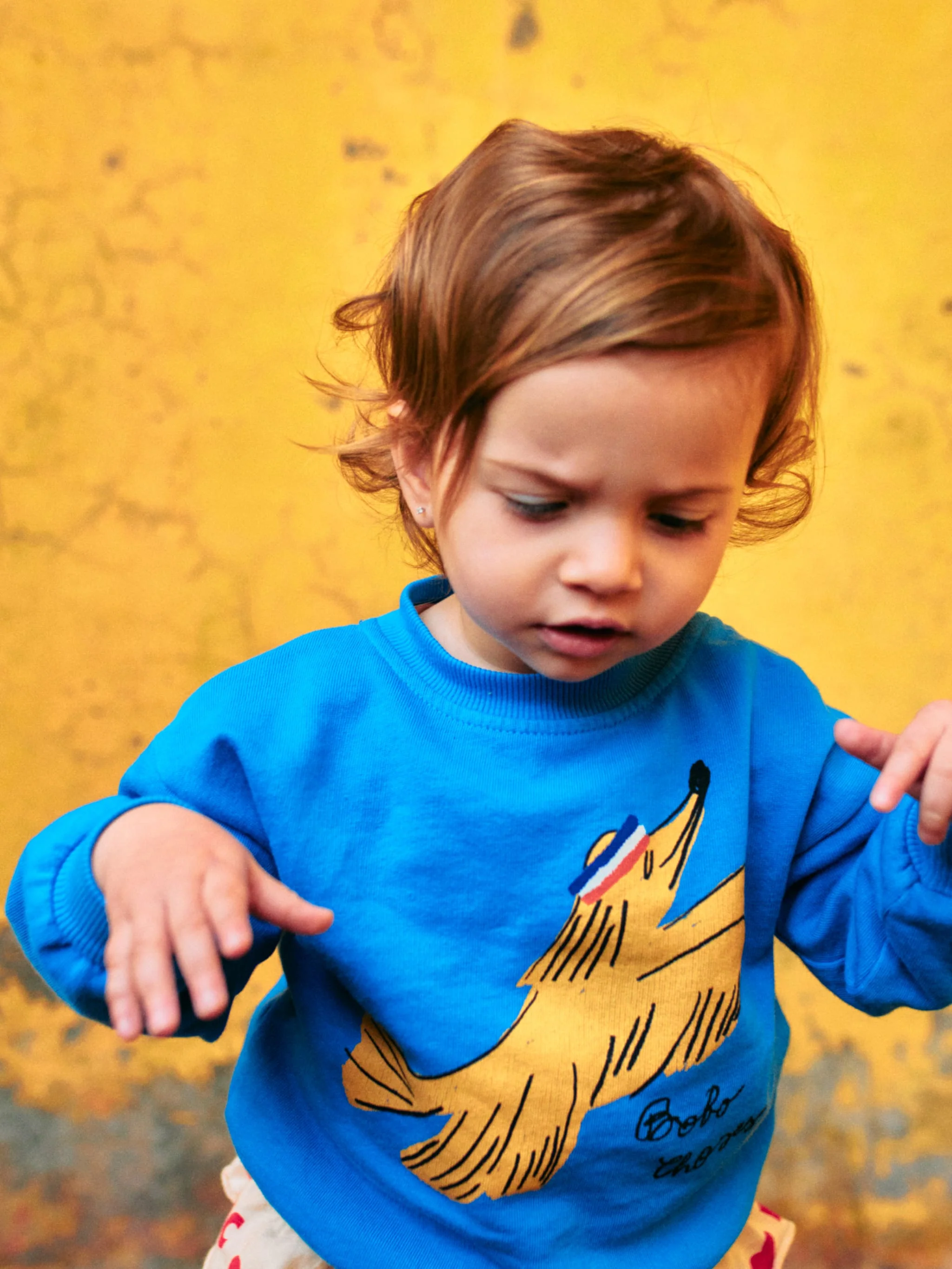Sporty dog sweatshirt
