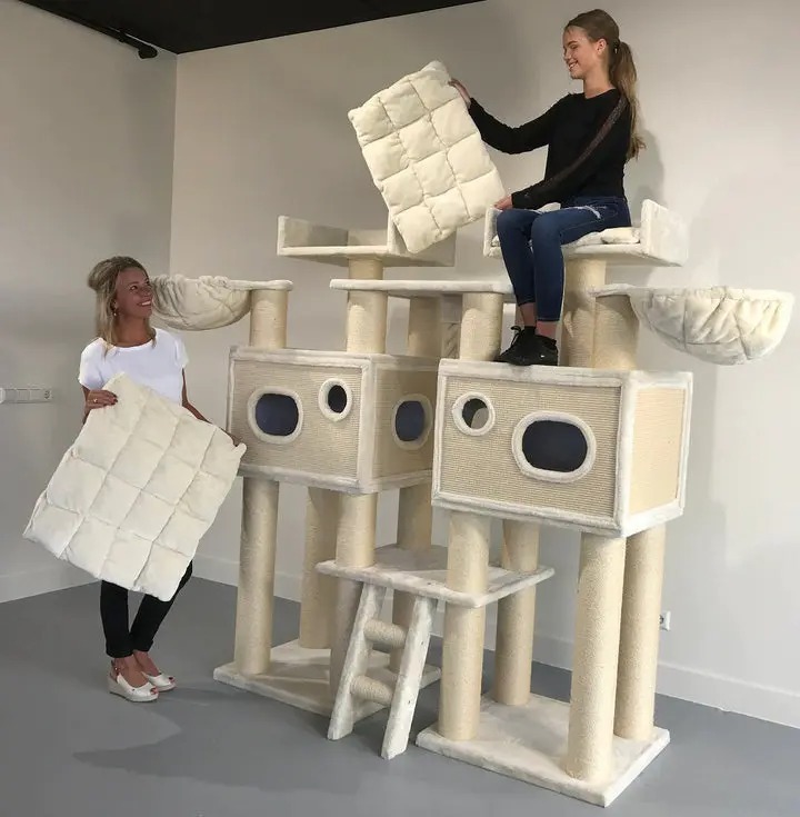 ❤️The Best Gift For Your Cats