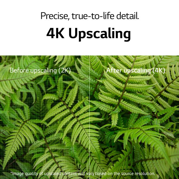 🎄Store Closing Sale📺55