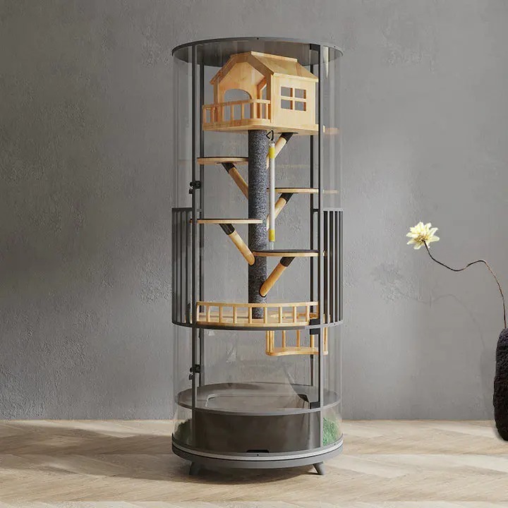 ❤️The Best Gift For Your Cats