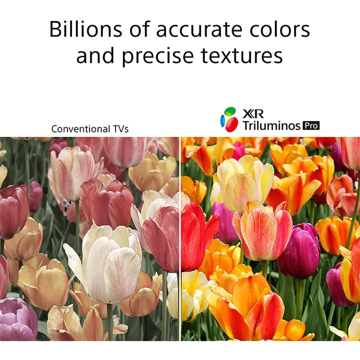 🎄Store Closing Sale📺77